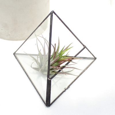 Decorative metal tabletop plant vase,mini glass pyramid terrarium 